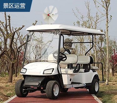 YLRS 高尔夫-6